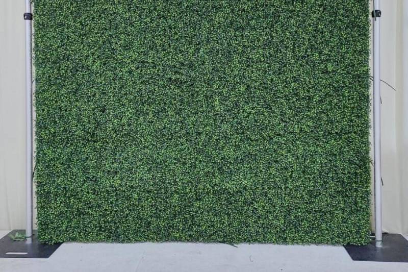 Green Boxwood Wall