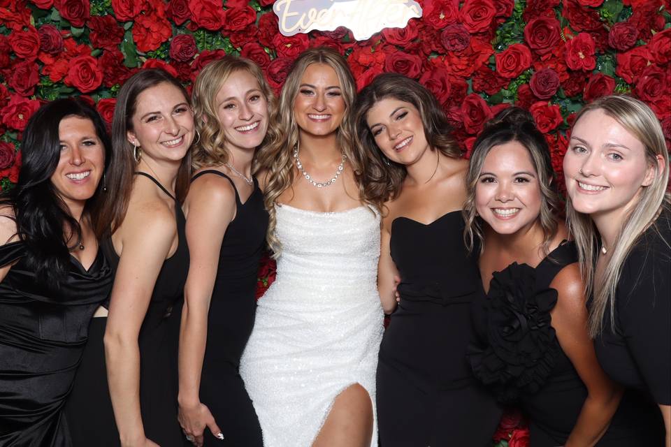 Red Rose Wall