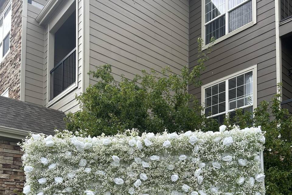 Baby’s Breath & Rose Wall