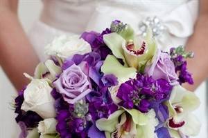 Violet and white combination
