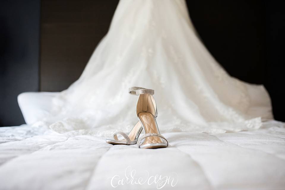Carrie Ayn