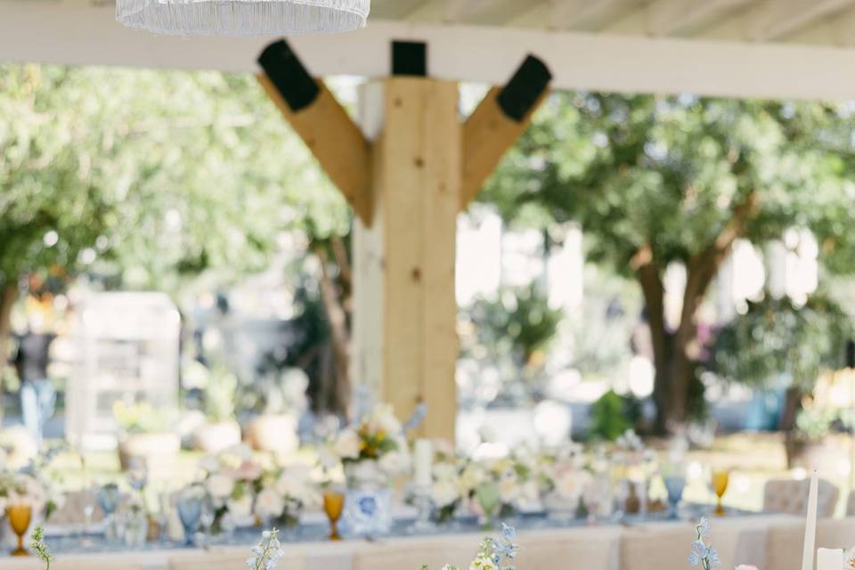 Linda Bird events
