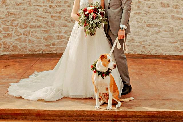 Happy couple with pooch