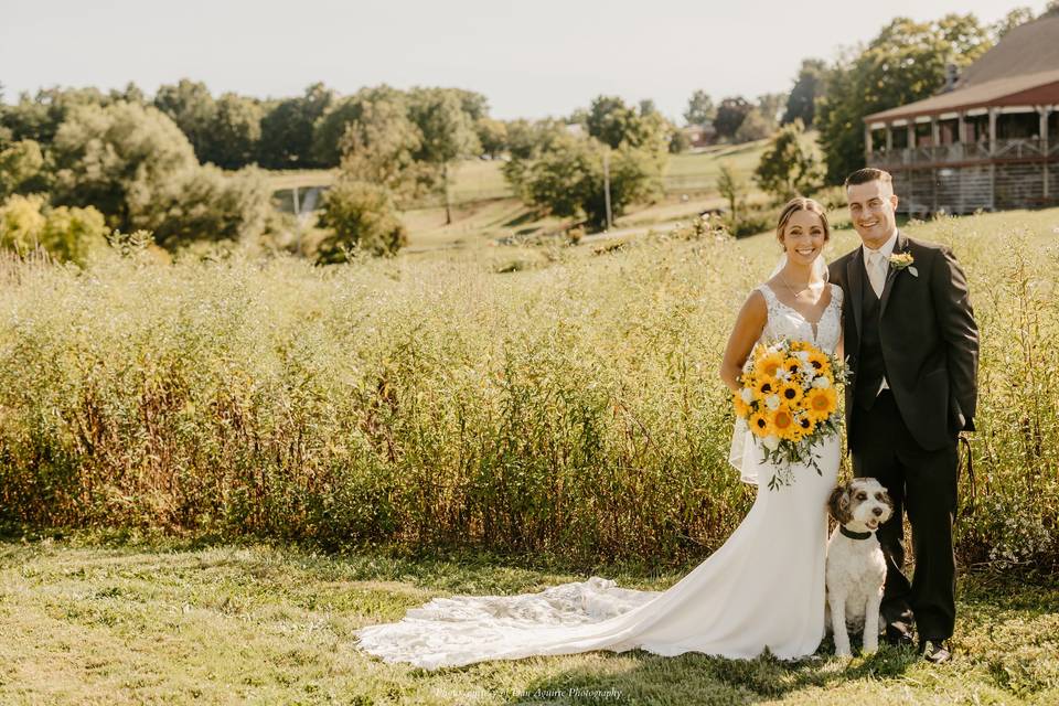 Dogs at weddings!