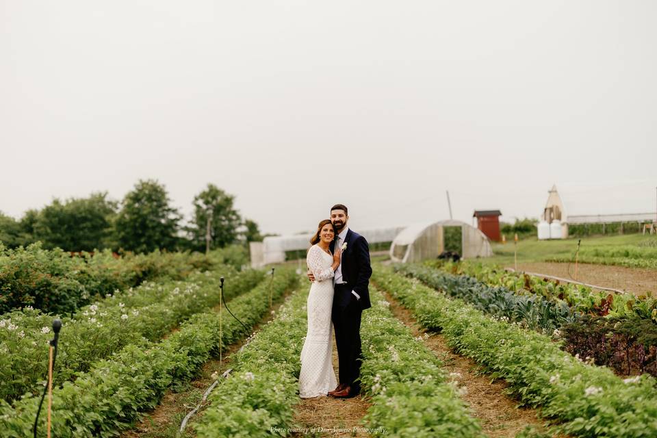 Gibbet HIll Farm crops