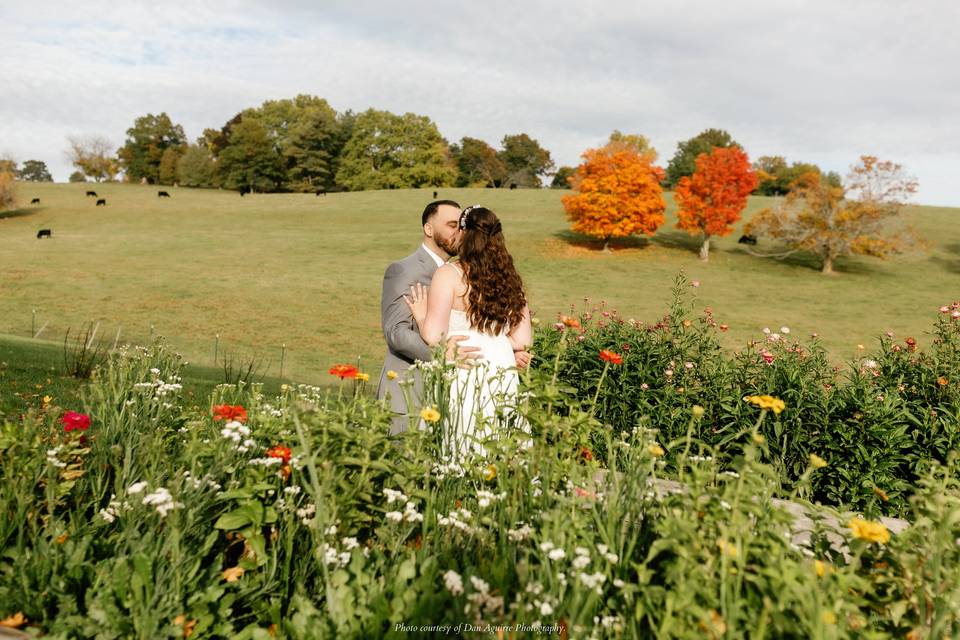 A kiss at the flower boxes