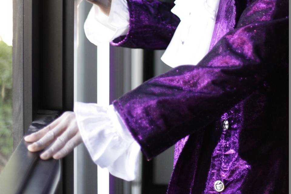 Prince singer