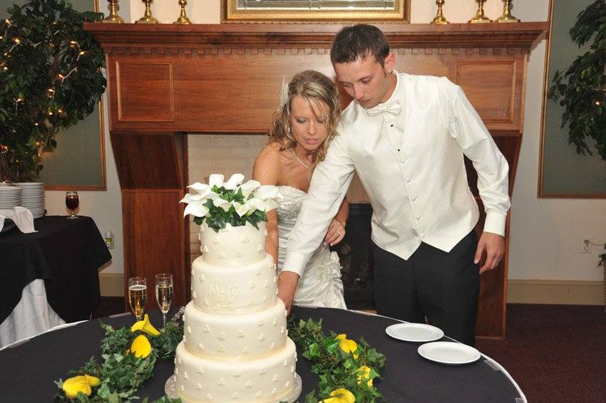 Couple cake cutting