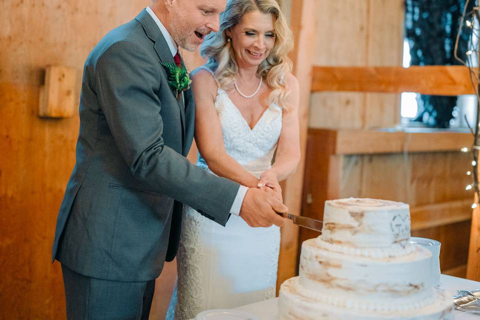 Cake cutting