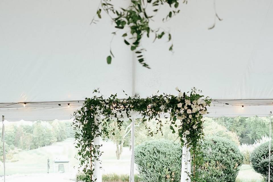 Vine Arch