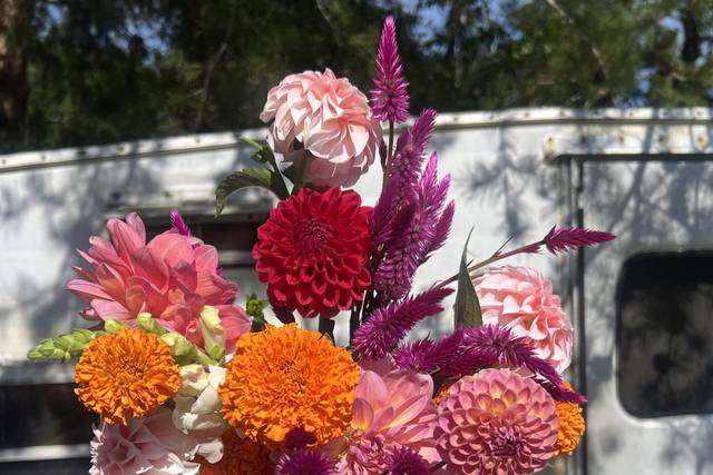 Palm Pike Flower Farm