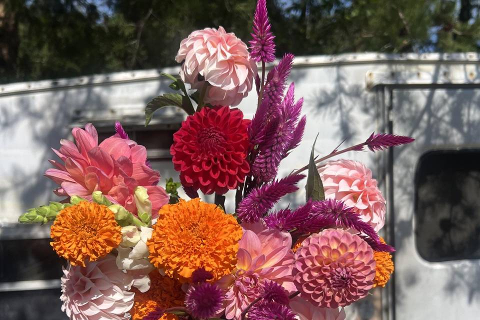 Palm Pike Flower Farm
