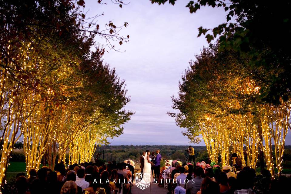 Dreamy Ceremony