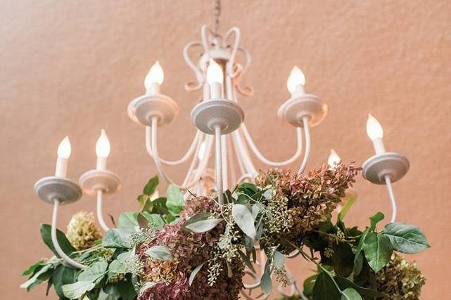 Hanging plants