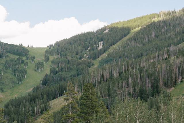 Vail Wedding Planner