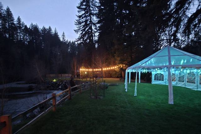 Tent and lights available