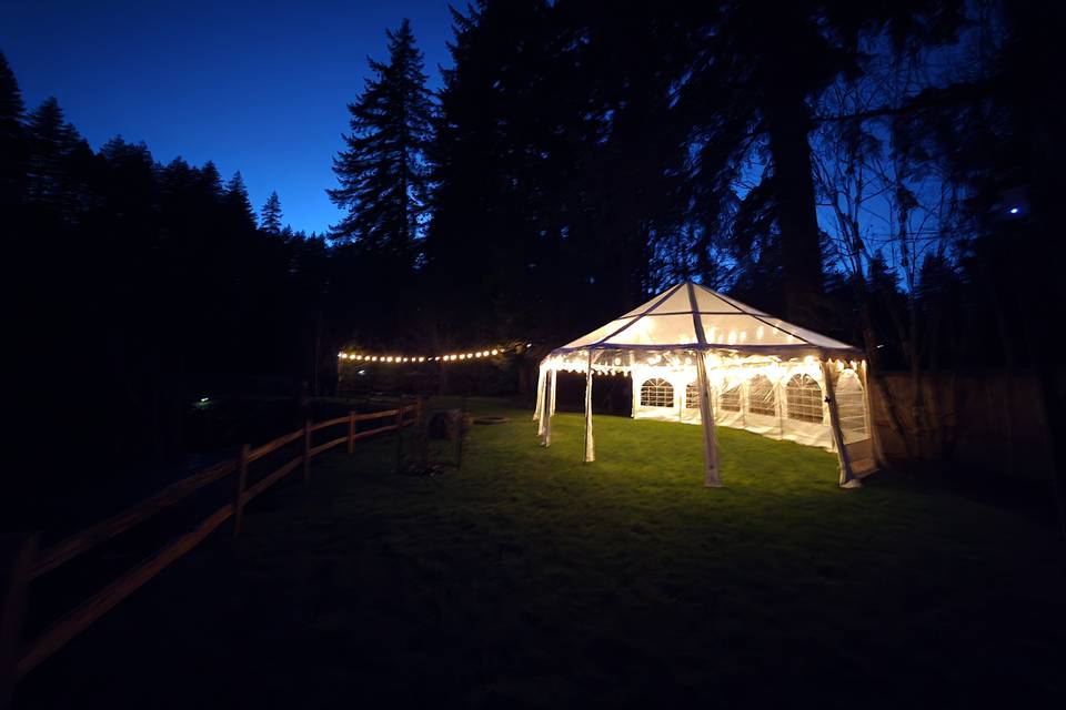 Night time at park