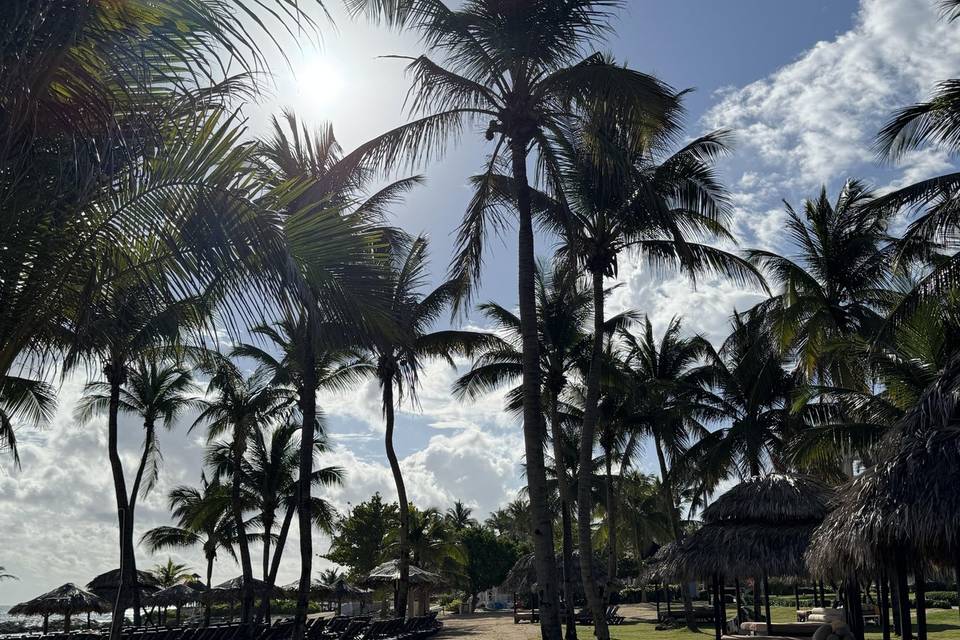 Jamaica