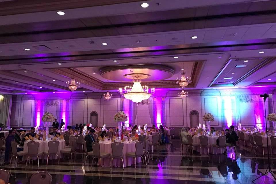 Sammy Singh ENT Indian Wedding