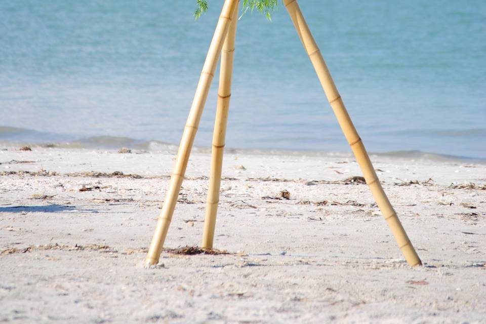 Bamboo Tripods