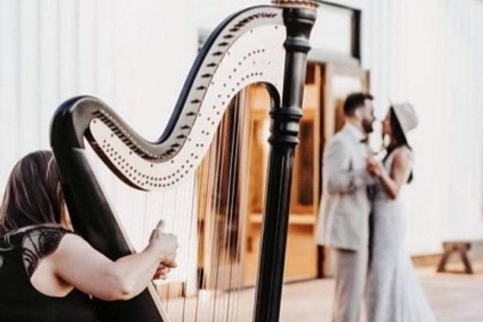 Lyon & Healy Classical Harp