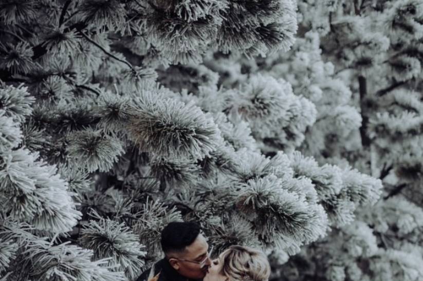 Snowed in elopements