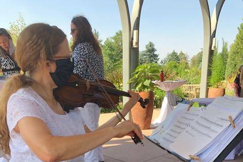 Solo Violin