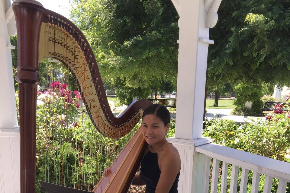 Solo Harp