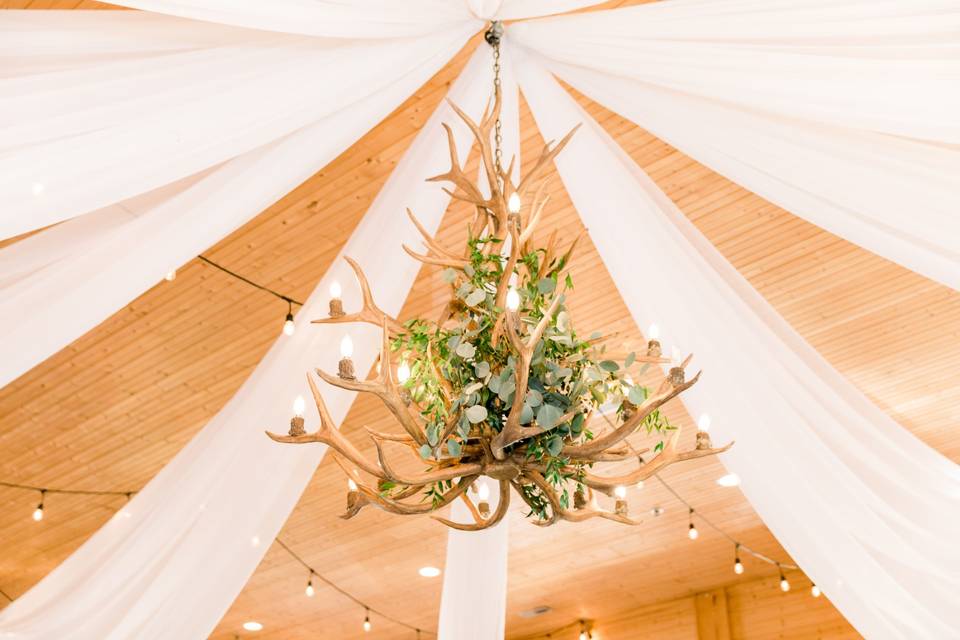 Greenery in the chandelier!