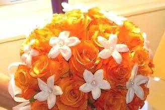 Orange roses