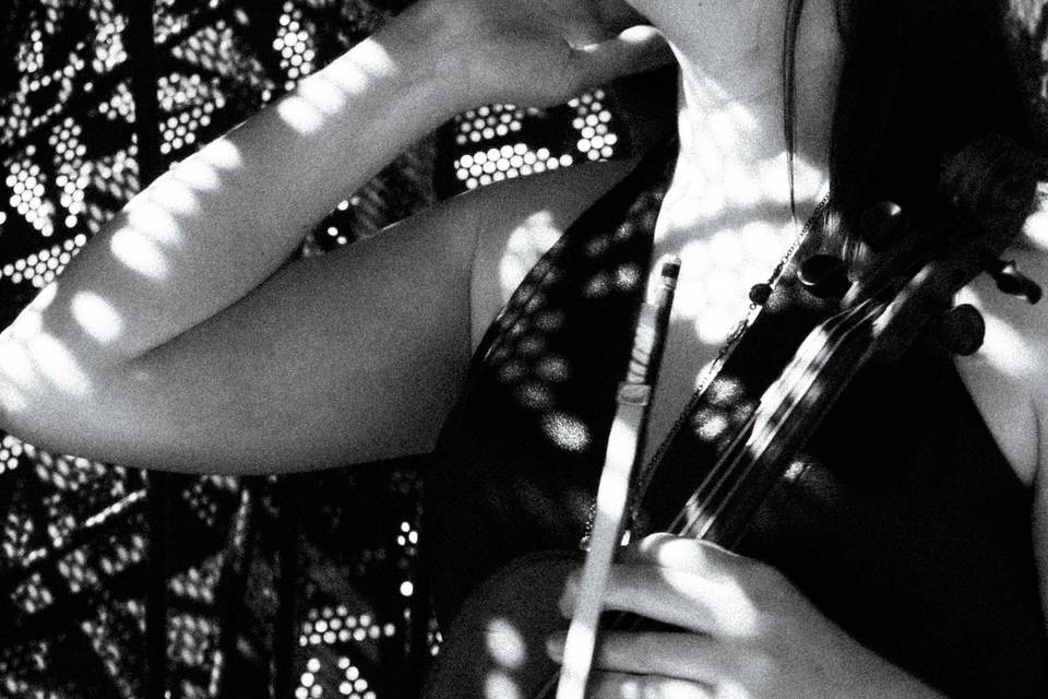 Ellie Lutterman Violin