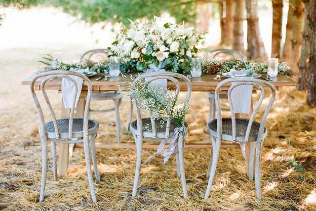 Allison Mannella Photography