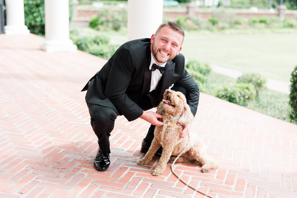 Have your dog at your ceremony
