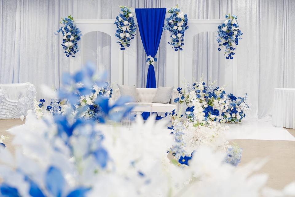 Elegant Designs