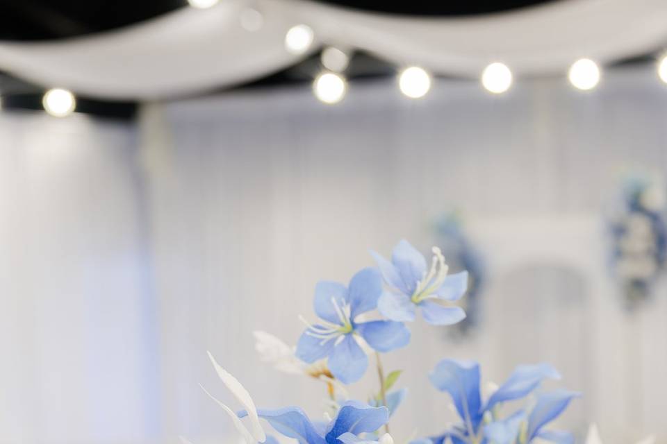Elegant Designs
