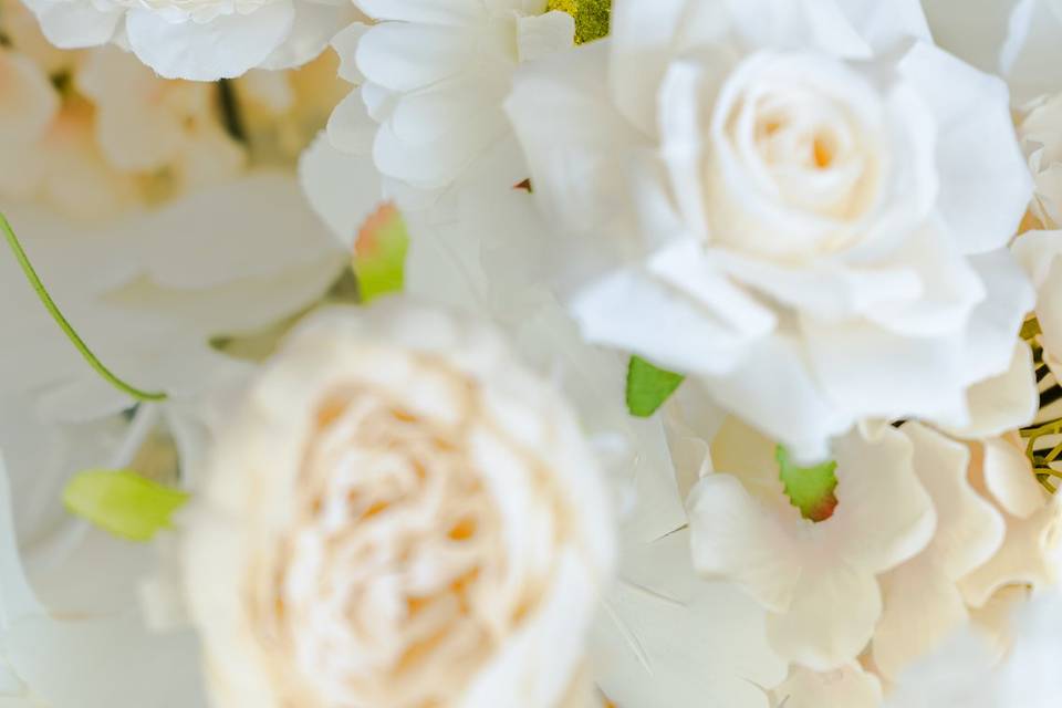 Elegant Designs