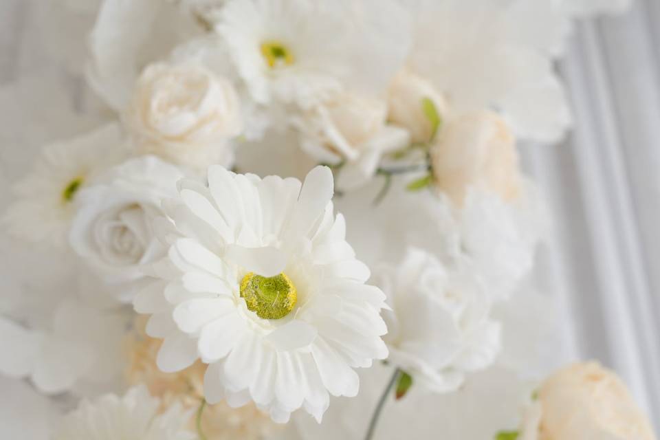 Elegant Designs