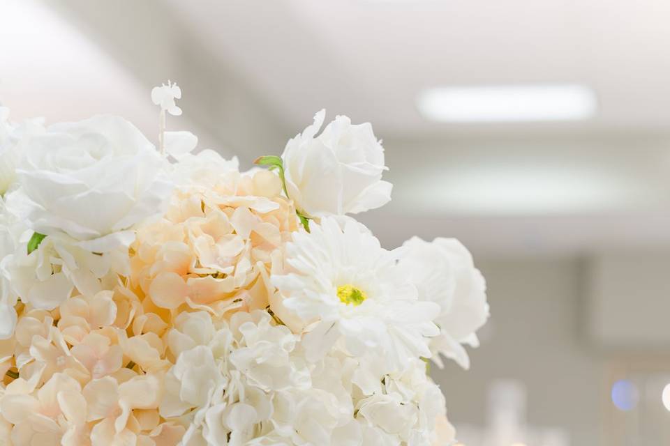 Elegant Designs