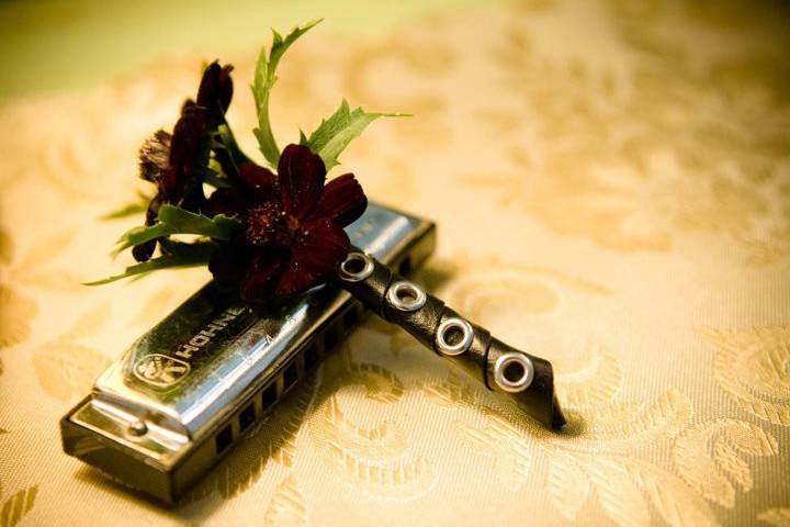 Lisa Schaffer Photography