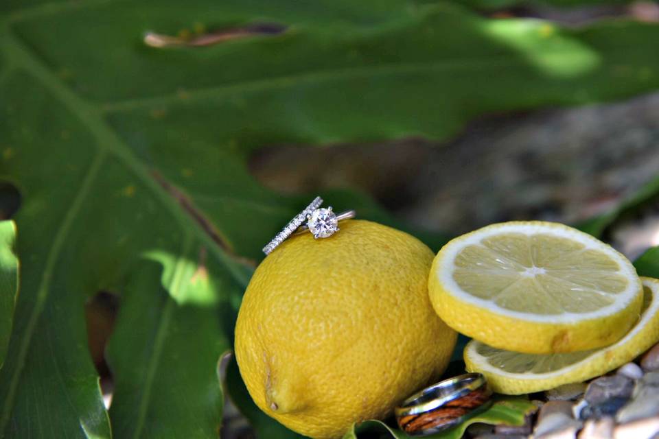Maggie B Photography
