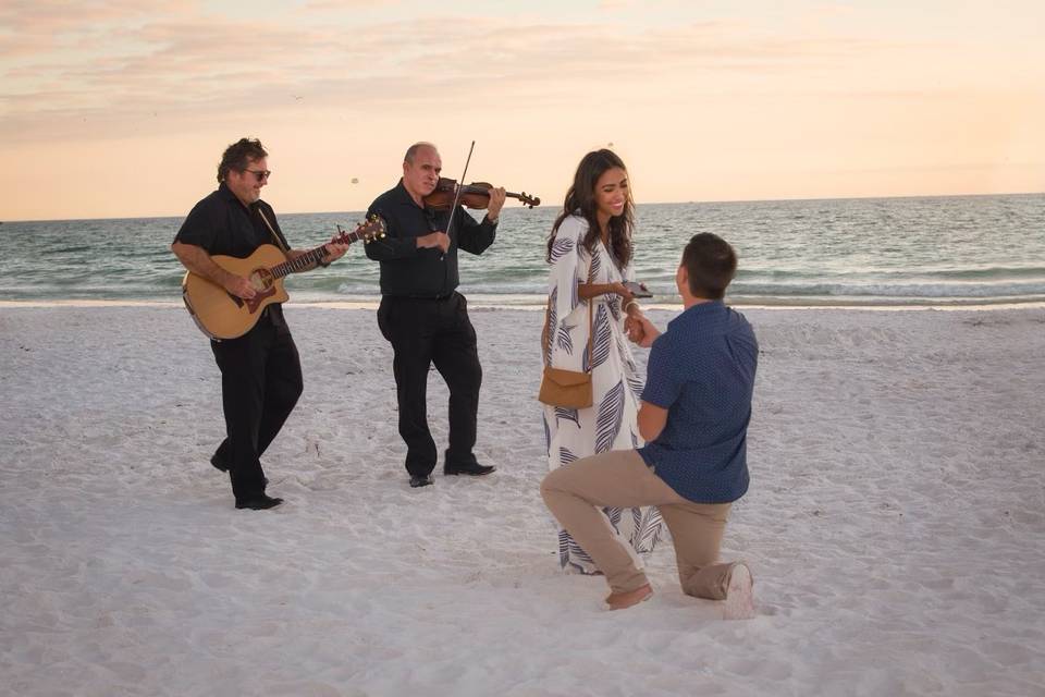 Intimate Beach Proposal