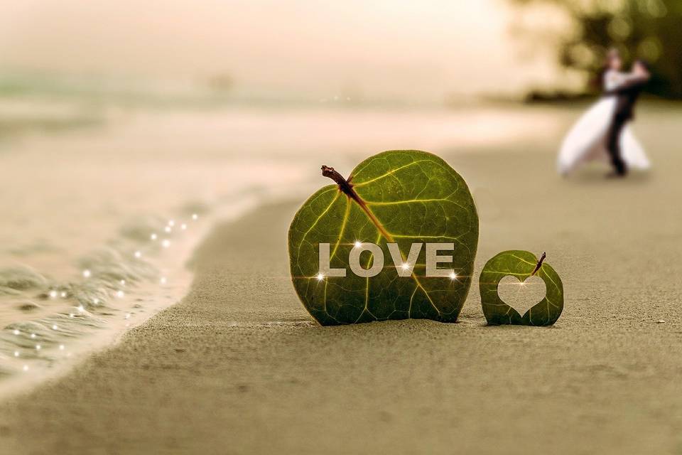 Love leaves