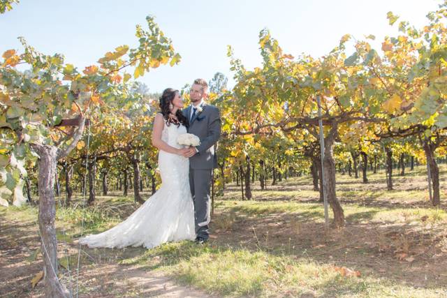 Gold Hill Vineyard Wedding