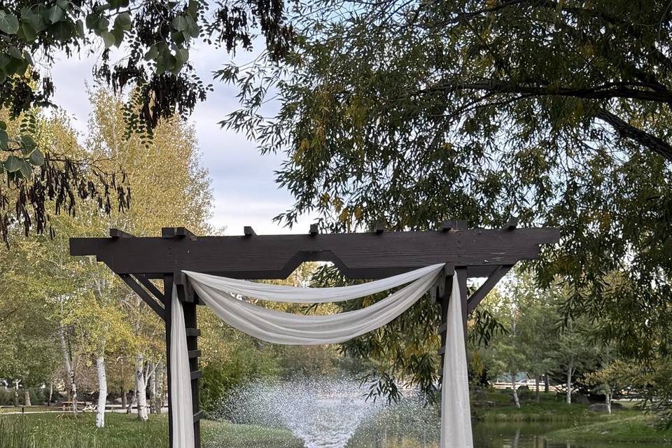 Pond Arbor
