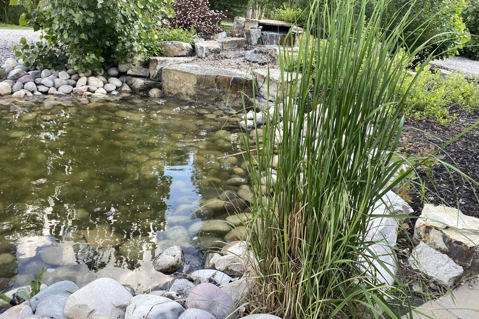 Water features