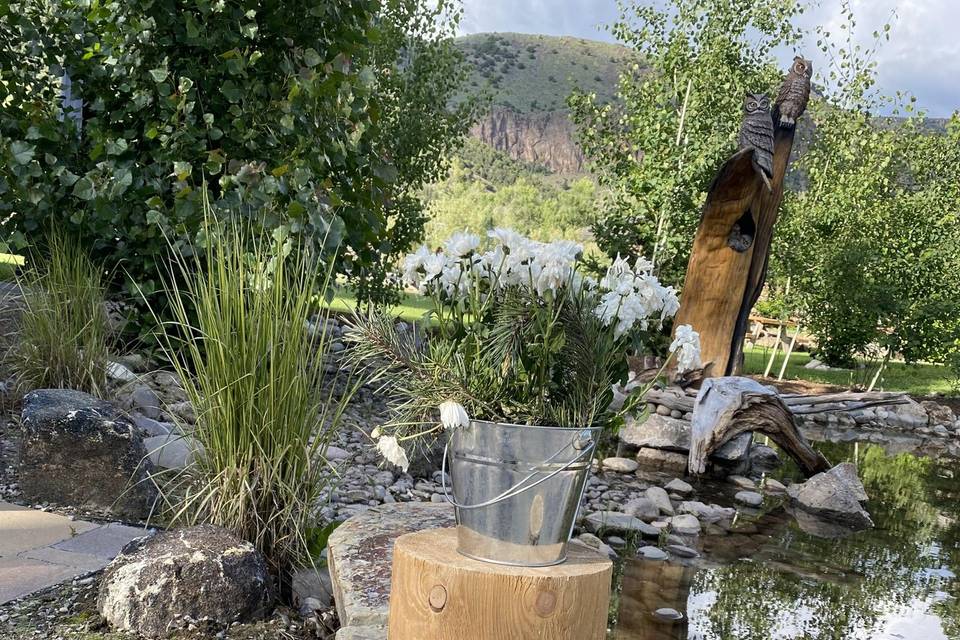 Water features