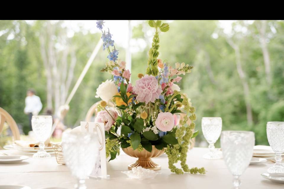 IMG_6203.png
