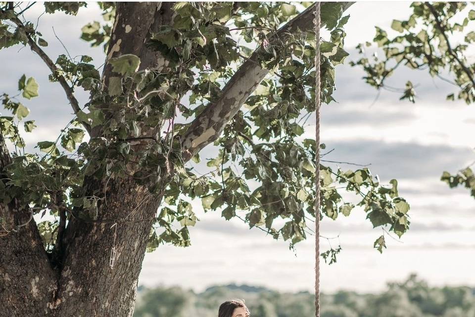 Tire swing tree