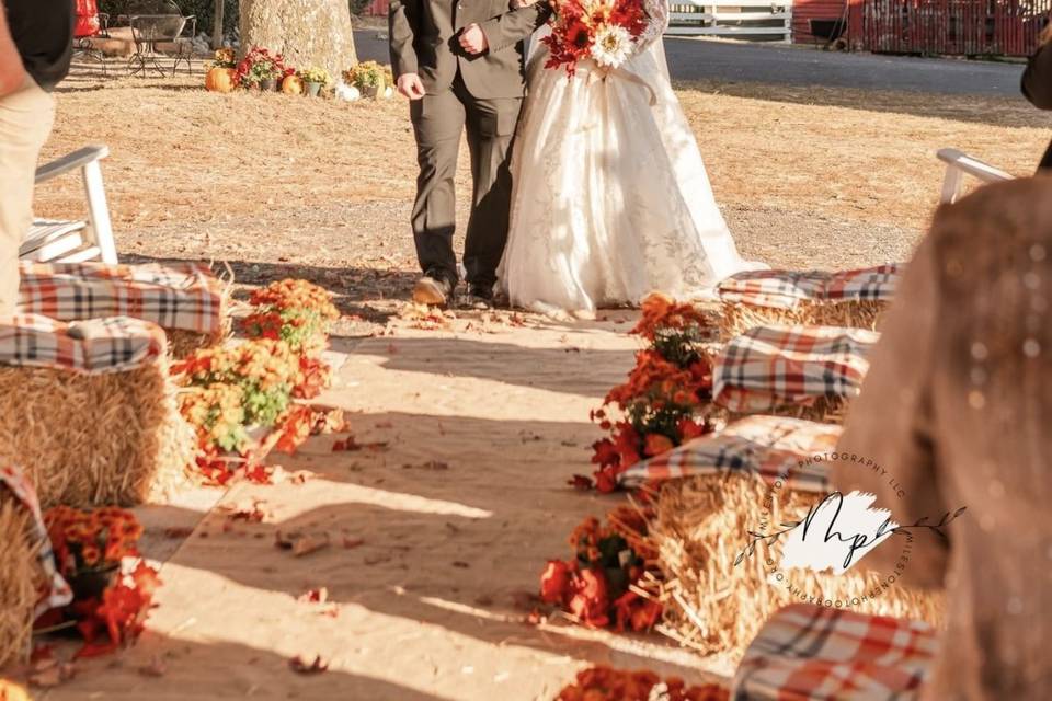 Enter the bride