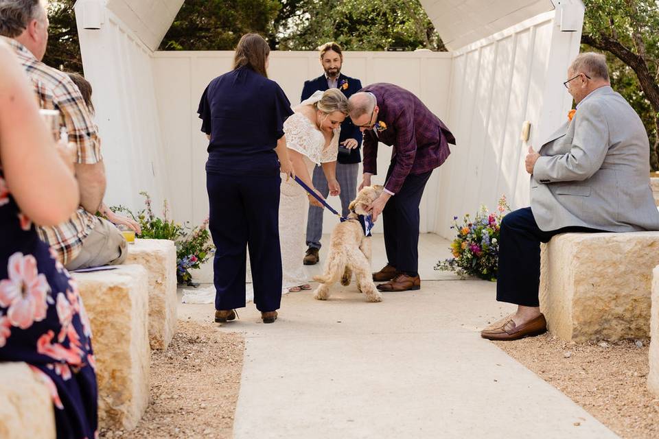 Cutest ring bearer ever